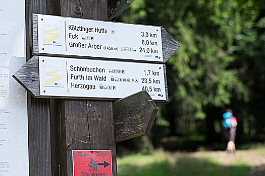 远足,靠近,坏,普拉蒂纳特,巴伐利亚森林,巴伐利亚,德国
