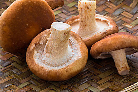 自然有机的健康食材,香菇,新鲜的生香菇在竹编织盛器里