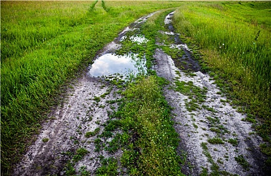 土路,水坑,绿色,地点