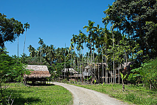 美拉尼西亚,巴布亚新几内亚,岛屿,乡村,特色,茅草屋顶,房子