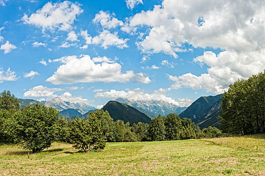 美丽,全景,意大利阿尔卑斯山,夏天