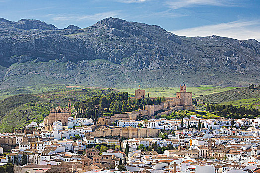 西班牙,安达卢西亚,区域,马拉加省,安提奎尔,城市,城堡