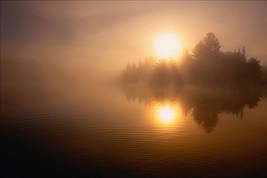 黎明,溪流,基拉尼省立公园,安大略省,加拿大