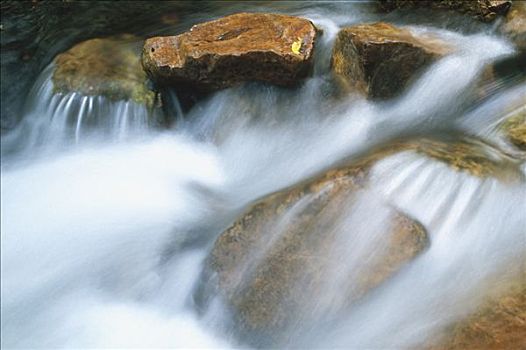 特写,溪流,国家公园,北领地州,澳大利亚