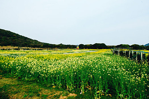 舟山大青山