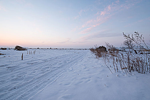 雪覆盖的路