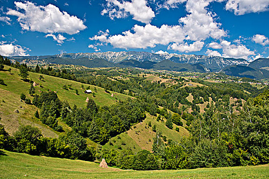 山景,草地,正面,山,喀尔巴阡山脉,罗马尼亚,欧洲