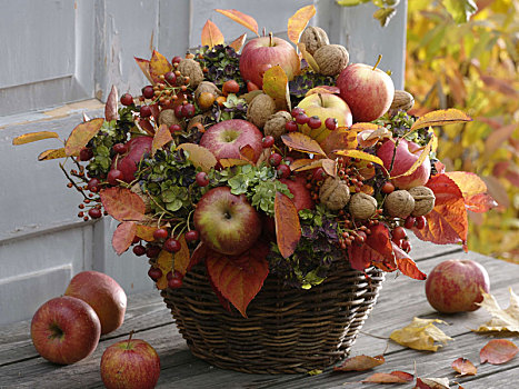 秋季花束,苹果,叶子,八仙花属