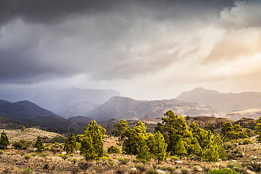 风景,远景,山,乌云,加纳利群岛,西班牙