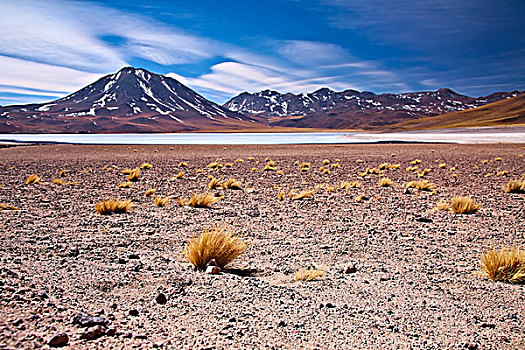 高原,泻湖,挨着,荒芜,阿塔卡马沙漠,智利