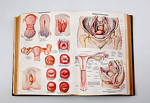 疾病,器官,插画,书本,德国,建议,健康