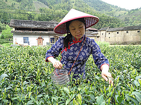 山区风光