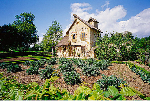 建筑,花园,凡尔赛宫,法国