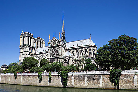 大教堂,河岸,塞纳河,巴黎,法兰西岛,法国