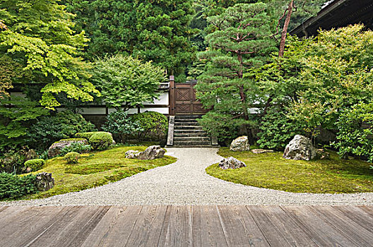 日本,京都,庙宇,花园