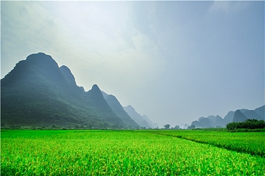 风景,阳朔,桂林