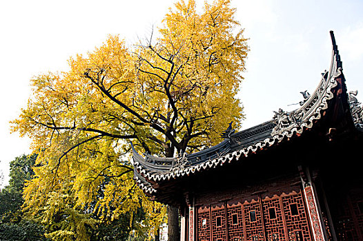 上海豫园秋景