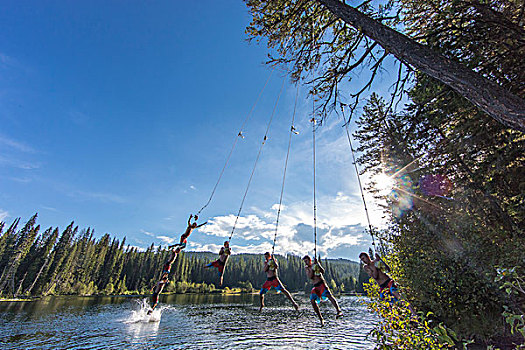 跳跃,绳索,夏天,冠军,湖,省立公园,不列颠哥伦比亚省,加拿大