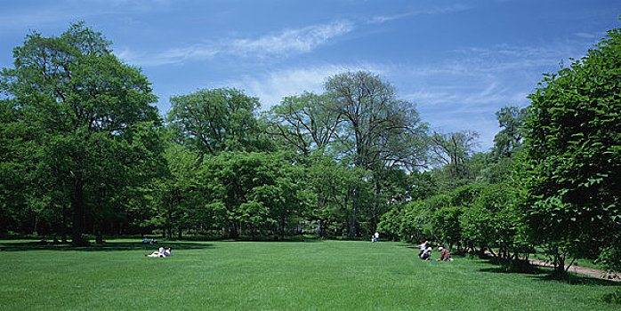 树园,北海道,大学