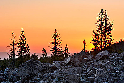 日落,上方,混乱,矮小,树林,拉森火山国家公园,加利福尼亚,美国
