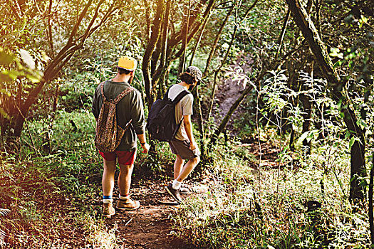 两个,男青年,朋友,远足,树林,阿蒂特兰湖,危地马拉