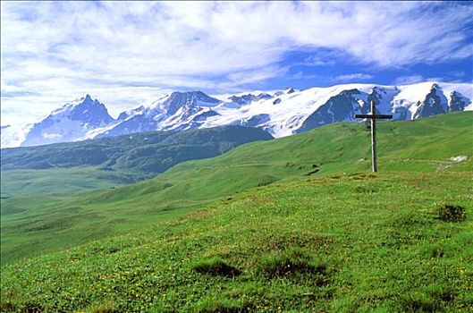 法国,上阿尔卑斯省,高,山地牧场,背影