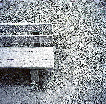 长椅,公园,遮盖,冰,雪