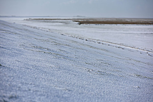 冬季风景,绒鸭,半岛,圣彼得,石荷州,德国