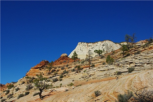 白色,红岩,山,锡安国家公园,犹他