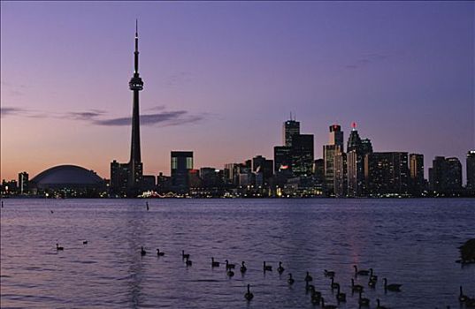加拿大,多伦多,加拿大国家电视塔,日落,湖