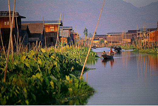 人,泛舟,茵莱湖,缅甸