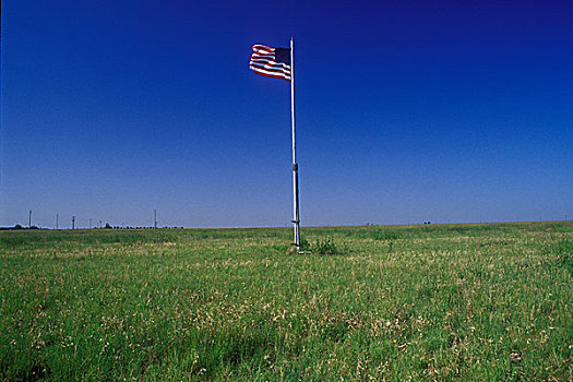 仰视,美国国旗,摆动,土地,德克萨斯,美国