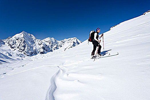 越野滑雪者,向上,山,山峦,意大利,欧洲
