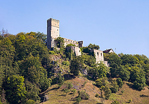 城堡,山谷,下巴伐利亚,巴伐利亚,德国,欧洲