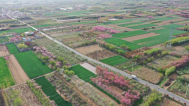 山东省日照市,暮春四月的美丽乡村,如一幅幅生态画卷