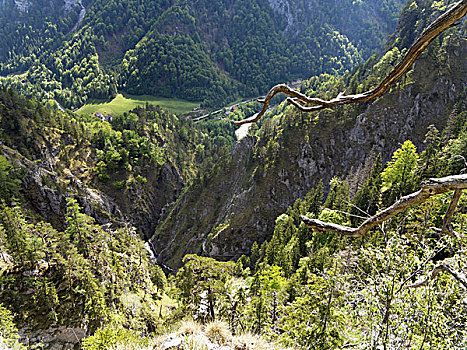 峡谷,靠近,施蒂里亚,奥地利,欧洲