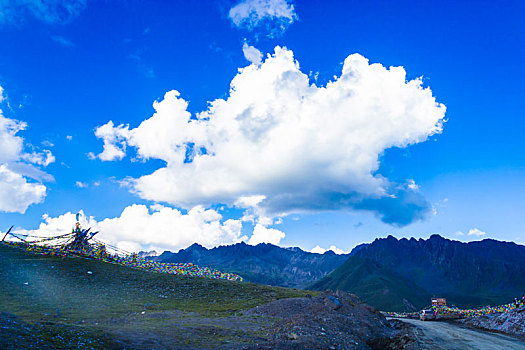 雅克,夏雪