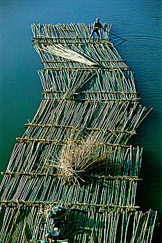 缅甸,竹子,筏子,河