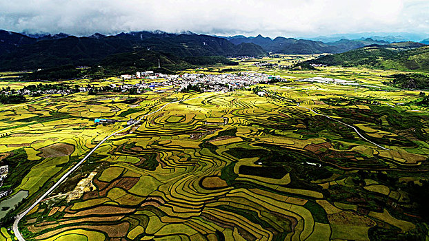 贵州龙里湾滩河镇金批村丰收田园