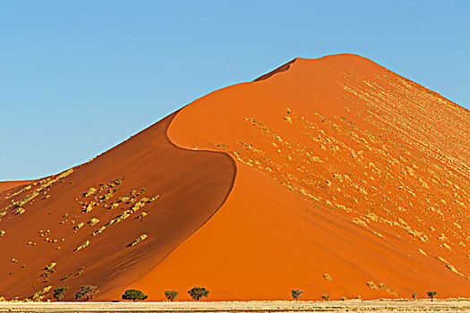 干燥,风景,高,沙丘,索苏维来地区,纳米比亚