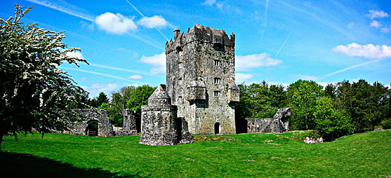 城堡,戈尔韦郡,爱尔兰