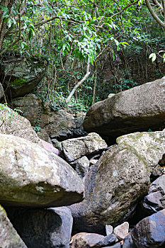 深圳市梧桐山景观