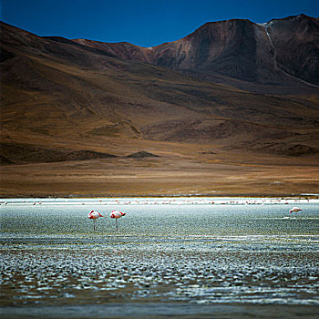 泻湖,玻利维亚