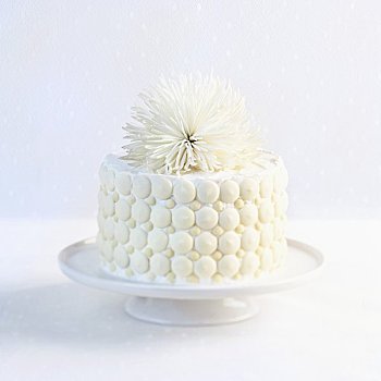 白巧克力,蛋糕,白花,上面