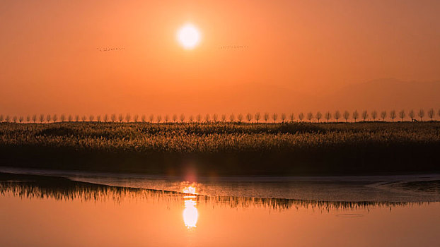 沙湖农场,沙湖景区