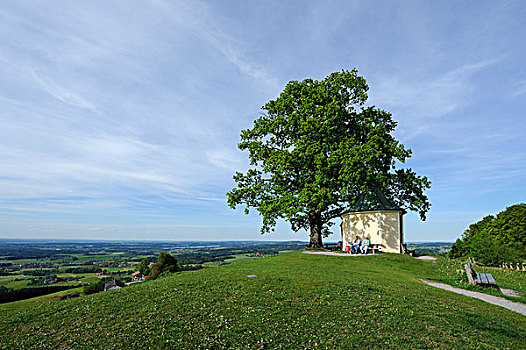 橡树,小教堂,齐姆高,区域,上巴伐利亚,巴伐利亚,德国,欧洲