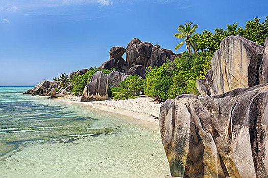 岩石构造,棕榈树,拉迪格岛,塞舌尔