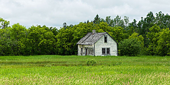 老,木质,农舍,草地,银,曼尼托巴,加拿大