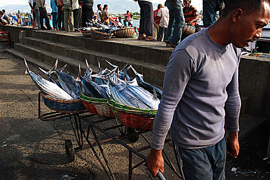 一个,男人,鱼,鱼市,印度尼西亚,七月,2007年
