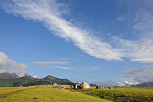 新疆天山伊犁草原牧场